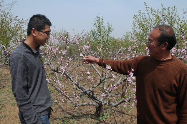 Farmer Yang: 600,000 trees in 13 yrs