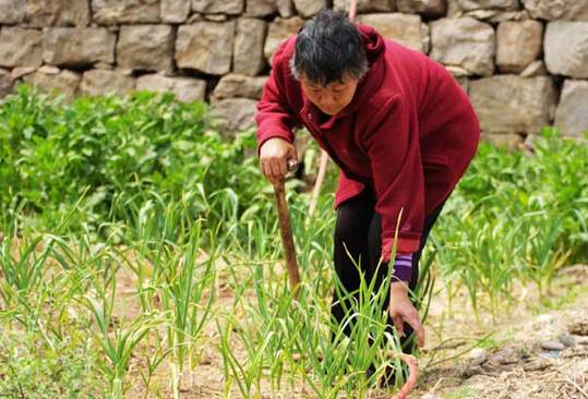 Feng Cuiqin, 60, from Dangjie village in Linzhou, Henan province, attributes the death of her husband to pollution in the Qihe River. [China Daily]