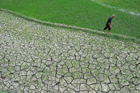 A sustained drought has caused water shortages for more than 680, 000 people living in south China’s Guangxi Zhuang Autonomous Region and neighboring Guizhou Province. 