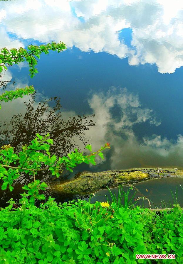 Photo taken on April 21, 2012 shows a reflection of sky and cloud on a lake in Keukenhof, Lisse, the Netherlands. Keukenhof is the international showcase of Dutch horticulture with an emphasis on bulb flowers. (Xinhua/Liu Jiang) 