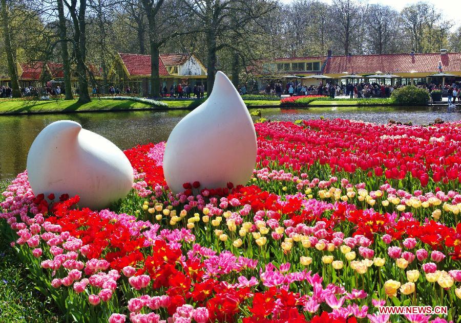 Photo taken on April 21, 2012 shows the tulips in Keukenhof, Lisse, the Netherlands. Keukenhof is the international showcase of Dutch horticulture with an emphasis on bulb flowers. (Xinhua/Liu Jiang) 