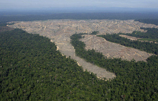 An aerial view of deforestation at Indonesia's Sumatra island. 