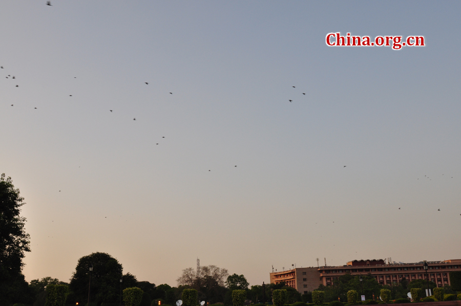 The Rashtrapati Bhavan (Sanskrit for Presidential House) or The Official Residence of the Head of the State is the official residence of the President of India, located at Raisina Hill in New Delhi, India.