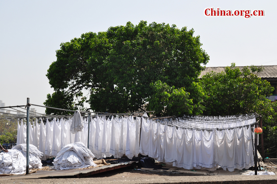 Dhobi Ghat in Mumbai, India. 