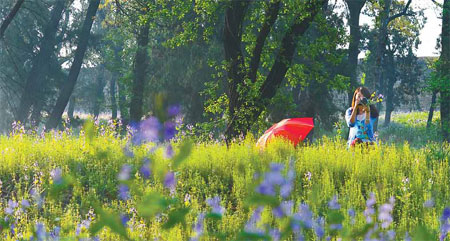 Standing amid the riot of flowers in the Forest of Steles, one may get a sense of the idea of harmony Confucius talked about. [Photo/China Daily]