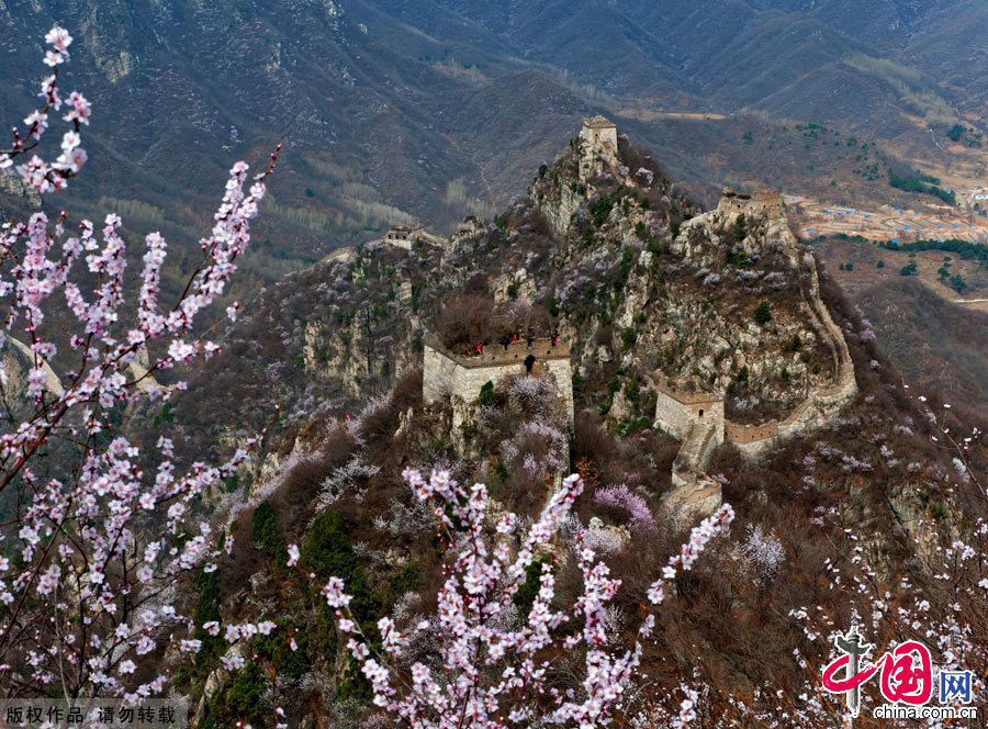 The Jiankou Great Wall (Arrow Lock) is located in Huairou County, 73 km north from Beijing City. It connects with the Mutianyu Great Wall 10 km to the east, and with the Huanghuacheng Great Wall to the west. This section was built in 1368 during the period of the Ming Dynasty.It is built of large white hill rocks which makes it very prominent from a distance. 