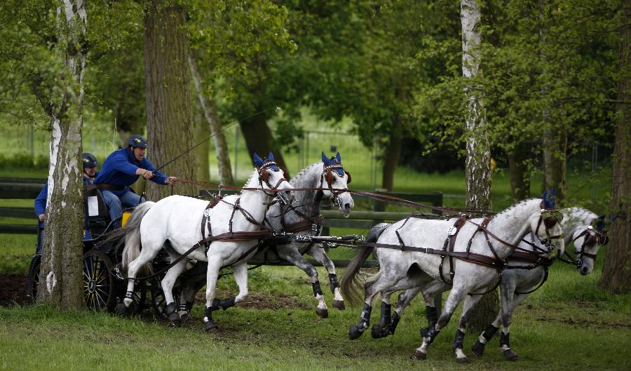 Riders take part in the pulling cart competition of Windsor Horse Show in Windsor, Britain on May 12, 2012. (Xinhua/Wang Lili) 