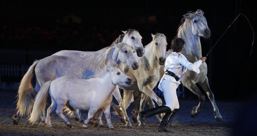  A French rider performs during the diamond jubilee pageant of Windsor Horse Show in Windsor, Britain on May 12, 2012. (Xinhua/Wang Lili) 