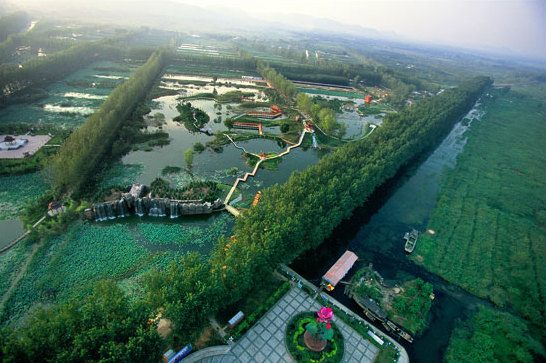 Shandong protects wetlands