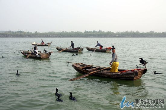 Liaocheng eco-tourism flourishes