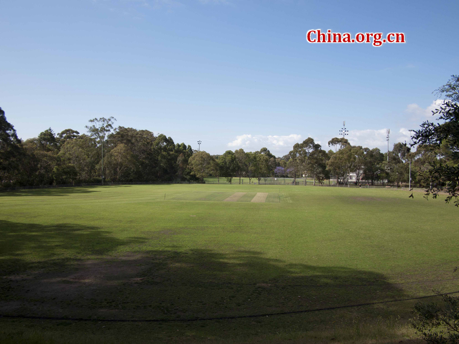 Suburbs of Sydney are composed of delicate houses, stretches of grassland and quietness. [China.org.cn/by Zhang Tingting]