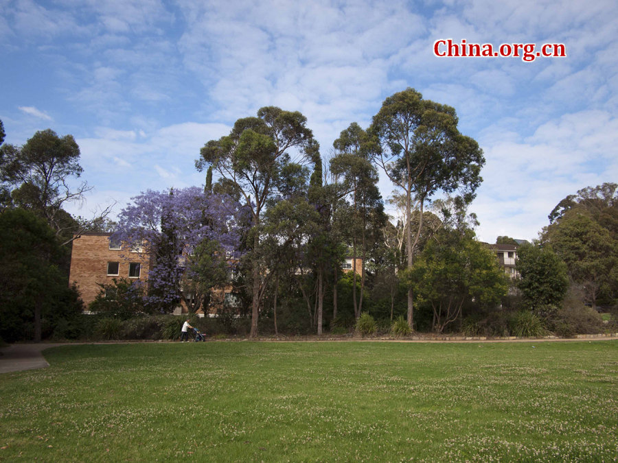 Suburbs of Sydney are composed of delicate houses, stretches of grassland and quietness. [China.org.cn/by Zhang Tingting]