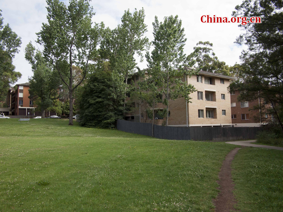 Suburbs of Sydney are composed of delicate houses, stretches of grassland and quietness. [China.org.cn/by Zhang Tingting]