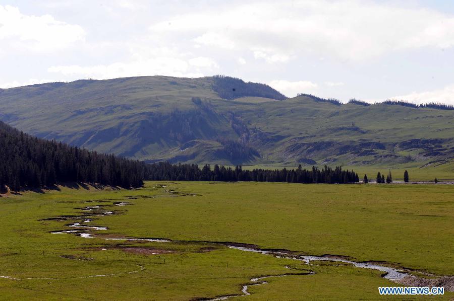 Photo taken on May 10, 2012 shows the scenery in Kanas, Altay Prefecture, northwest China's Xinjiang Uygur Autonomous Region. [Xinhua/Sadat]