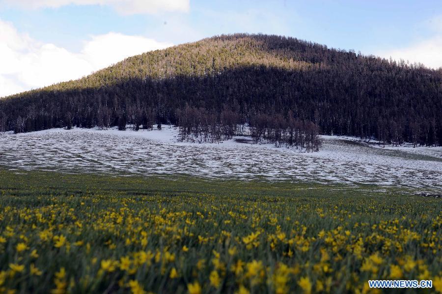 Photo taken on May 10, 2012 shows the scenery in Kanas, Altay Prefecture, northwest China's Xinjiang Uygur Autonomous Region. [Xinhua/Sadat]