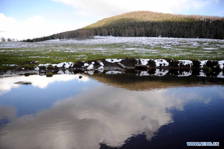 Photo taken on May 10, 2012 shows the scenery in Kanas, Altay Prefecture, northwest China's Xinjiang Uygur Autonomous Region. [Xinhua/Sadat]