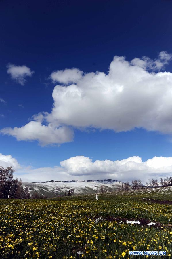 Photo taken on May 10, 2012 shows the scenery in Kanas, Altay Prefecture, northwest China's Xinjiang Uygur Autonomous Region. [Xinhua/Sadat]