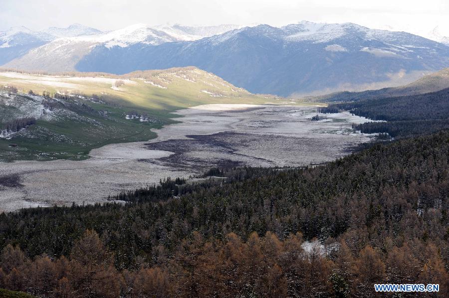 Photo taken on May 10, 2012 shows the scenery in Kanas, Altay Prefecture, northwest China's Xinjiang Uygur Autonomous Region. [Xinhua/Sadat]