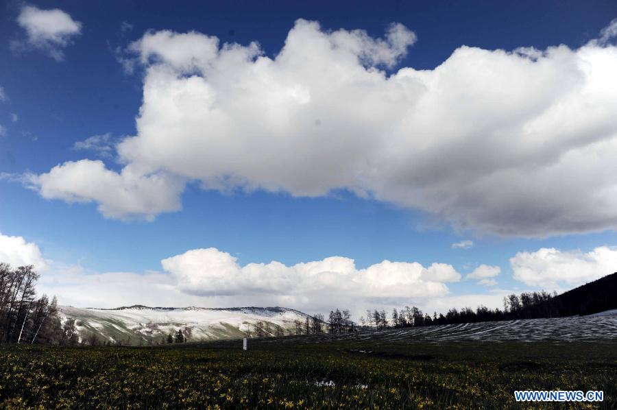 Photo taken on May 10, 2012 shows the scenery in Kanas, Altay Prefecture, northwest China's Xinjiang Uygur Autonomous Region. [Xinhua/Sadat]