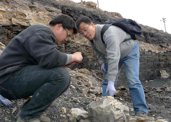 Wang Jun (right), a paleobotanist with the Nanjing Institute of Geology and Palaeontology under the Chinese Academy of Sciences, carries out research in March with his colleague in Wuda, the Inner Mongolia autonomous region. [Photo / China Daily]