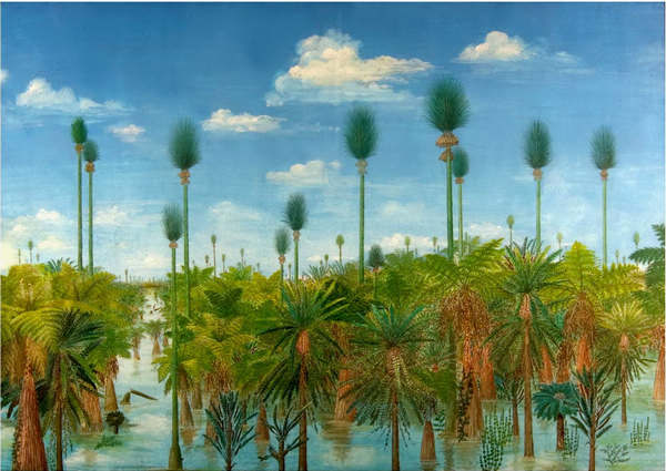 The picture is an artist's rendition of what Wuda looked like 298 million years ago. Wang Jun's team identified 12 types of plants in the tropical swamp and restored them. [ Photo/ China Daily ]