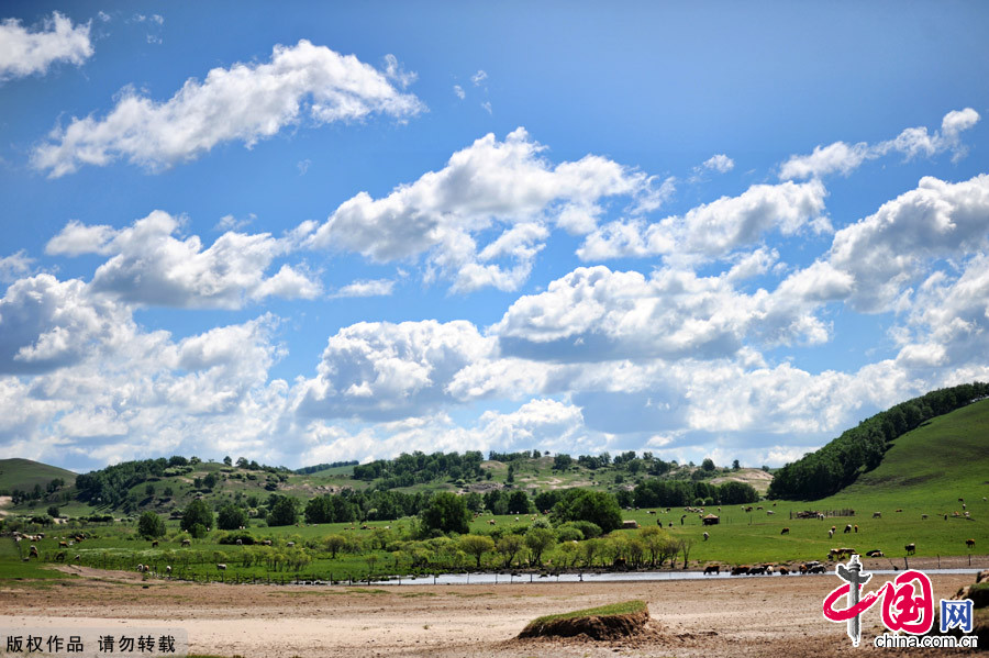 The Bashang Grasslands,the nearest prairie destination from Beijing, is regarded as the most beautiful highland landscape in the country.