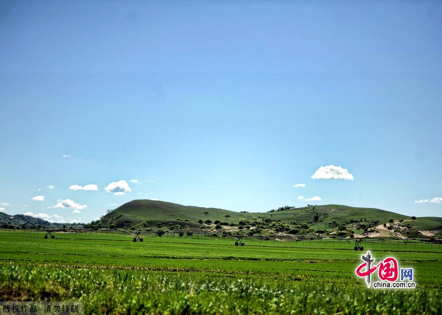 The Bashang Grasslands,the nearest prairie destination from Beijing, is regarded as the most beautiful highland landscape in the country.