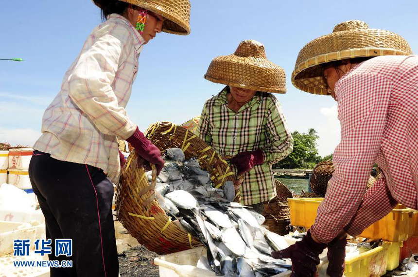 China will soon impose a routine fishing ban in northern parts of the South China Sea, authorities announced Monday. The fishing ban will last from May 16 to August 1, covering areas north of the 12th parallel of north latitude, including Huangyan Island but excluding most of the Nansha Islands, according to a spokesman from the South China Fishery Administration Bureau of the Ministry of Agriculture. 