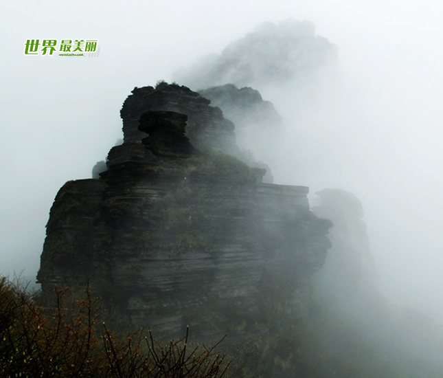 Established in 1978, Fanjing Mountain Nature Reserve is located in the counties of Jiangkou, Yinjiang and Songtao in northeastern Guizhou Province. In 1986, it was promoted to a national nature reserve and included in the Man and Biosphere Reserve Network of UNESCO. 