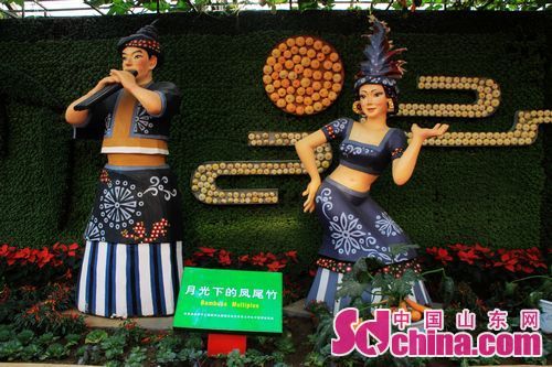 Intl Vegetable Science and Tech Fair held in Shouguang