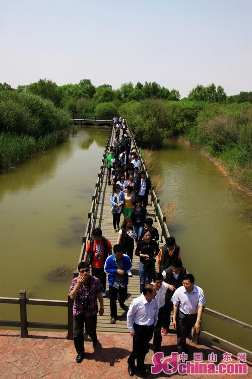 Yellow River Delta National Nature Reserve