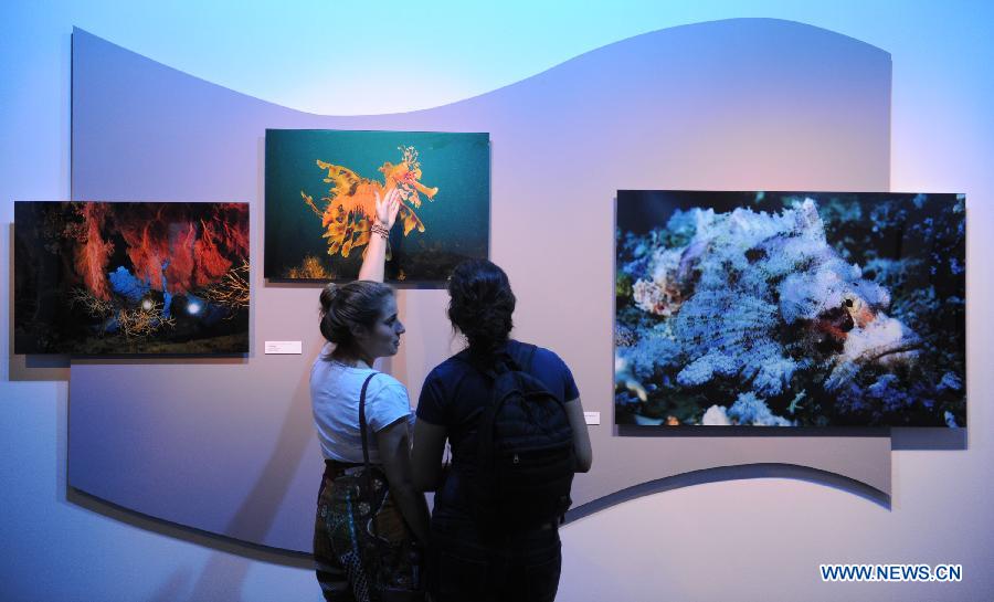 People look at photos on display at an exhibition of the documentary film 'Oceans' that opens in Rio de Janeiro, Brazil, May 17, 2012. (Xinhua/Weng Xinyang)