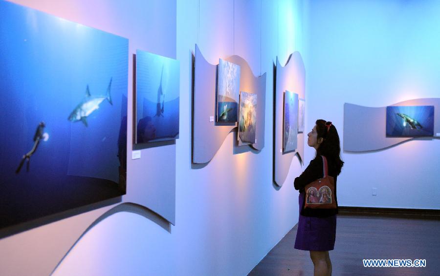 A woman looks at photos on display at an exhibition of the documentary film 'Oceans' that opens in Rio de Janeiro, Brazil, May 17, 2012. (Xinhua/Weng Xinyang) 