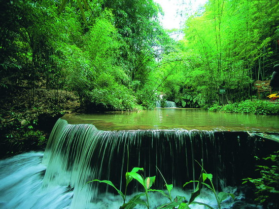 Southern Sichuan Bamboo Forest, one of the 'top 10 attractions in Sichuan, China' by China.org.cn.