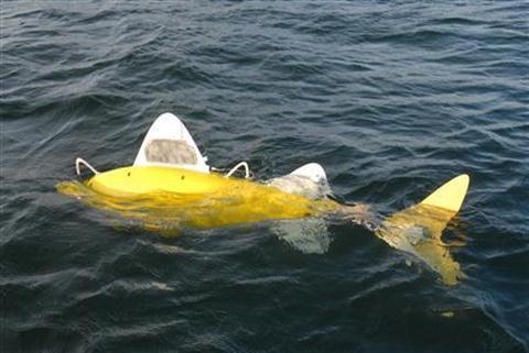 The robotic fish, a state-of-the-art pollution monitoring system. [Agencies]