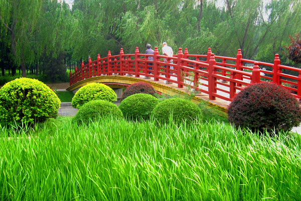 Grasses lilt to the sound of the passing breeze in Yuan Dadu Park. Photo by William Wang for CRI, May 2012.