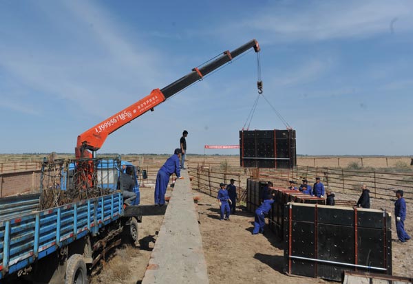 Workers move wooden cases containing wild horses to a truck due to leave a breeding center in Xinjiang Uygur autonomous region on May 21. [Photo/Asianewsphoto]