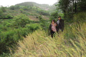 Two siblings live a hermitlike life in the mountains near Zhangqiu in east China's Shangdong province. [Photo: sohu.com]
