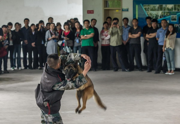 Chongqing shows off its police dogs