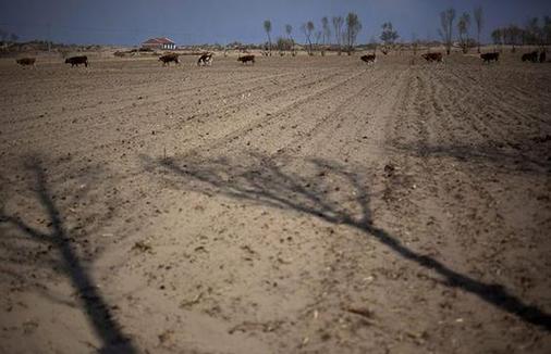 Desertification is one of the most severe problems in China's Inner Mongolia. [File photo]