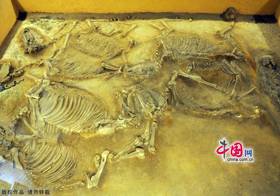 The title of the museum was inscribed by Su Binqi, a master in the circle of archeology. Covering an area of 3,000 square meters, the museum has a basic display entitled 'Glorious Ancient Yan Capital Culture' divided into eight parts.