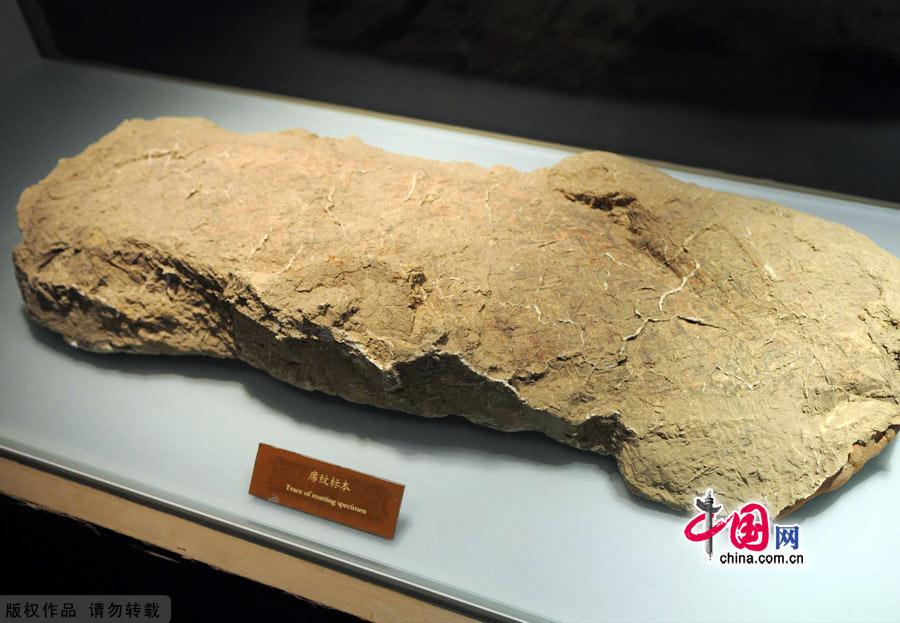 The title of the museum was inscribed by Su Binqi, a master in the circle of archeology. Covering an area of 3,000 square meters, the museum has a basic display entitled 'Glorious Ancient Yan Capital Culture' divided into eight parts.