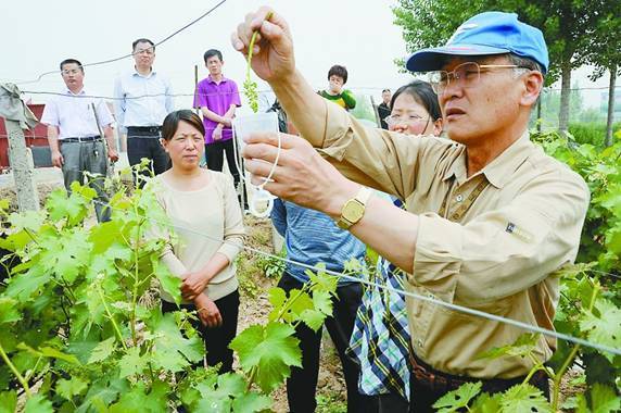 Japanese expert lectures on fruit trees in Shandong