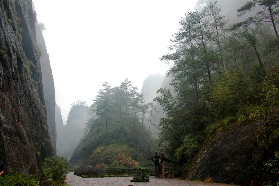 The Wuyi Mountains are a mountain range located at the prefecture Nanping, at the northern border of Fujian province with Jiangxi province, China. The mountains cover an area of 60 km². In 1999, Mount Wuyi entered UNESCO's list of World Heritage Sites, both natural and cultural.