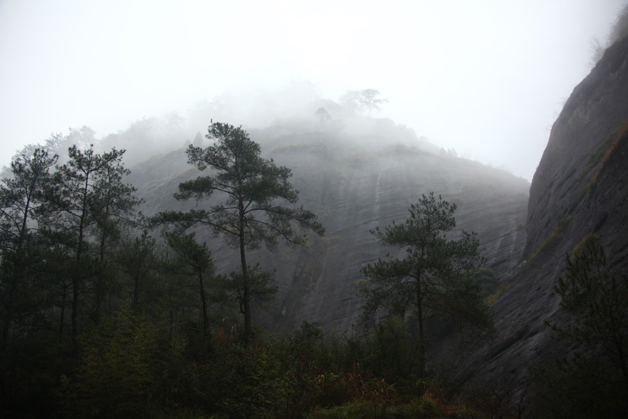 The Wuyi Mountains are a mountain range located at the prefecture Nanping, at the northern border of Fujian province with Jiangxi province, China. The mountains cover an area of 60 km². In 1999, Mount Wuyi entered UNESCO's list of World Heritage Sites, both natural and cultural.