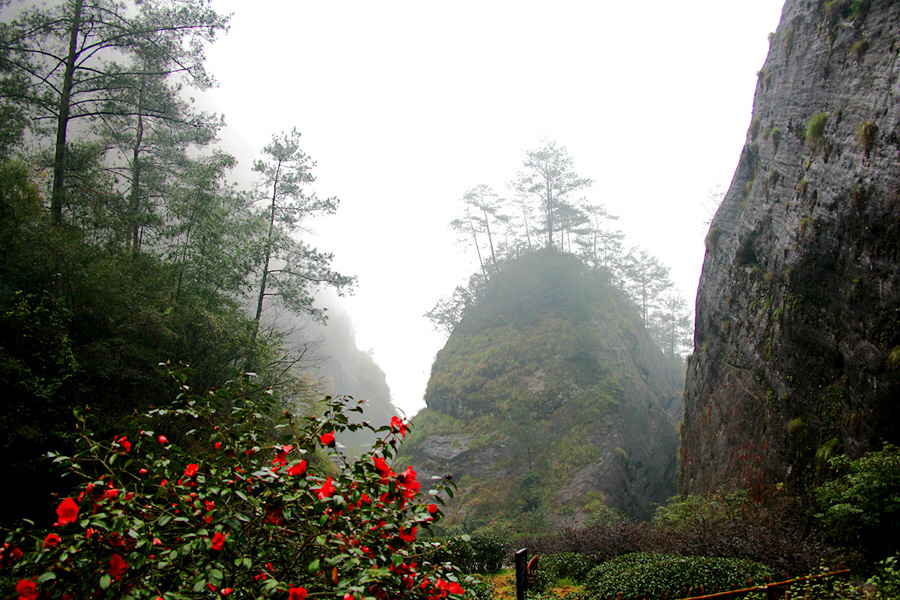 The Wuyi Mountains are a mountain range located at the prefecture Nanping, at the northern border of Fujian province with Jiangxi province, China. The mountains cover an area of 60 km². In 1999, Mount Wuyi entered UNESCO's list of World Heritage Sites, both natural and cultural.