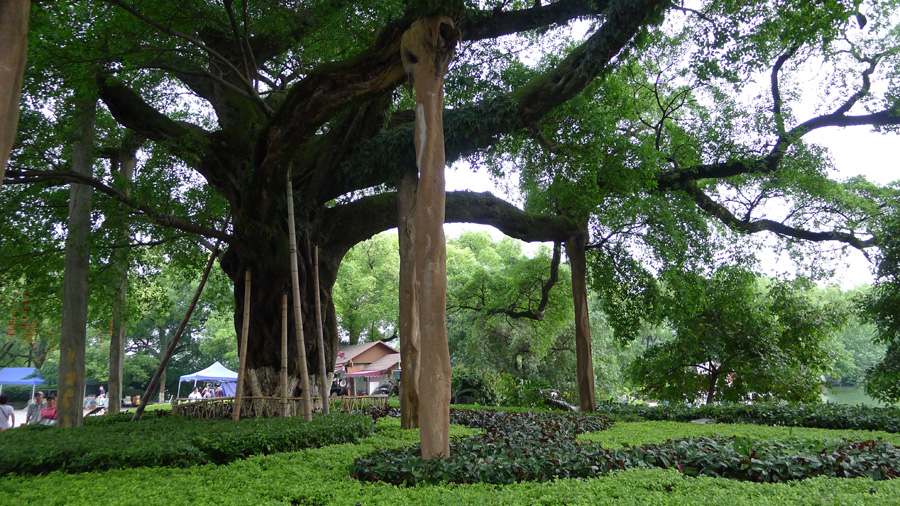 Located in southeastern China, this park is renowned for its karsts, limestone cones, cylinders and hills with colorful names like 'Elephant Trunk,' 'Dragon Head' and 'Five Fingers', these have inspired countless Chinese poets and artists and even been depicted on the country’s paper currency. 