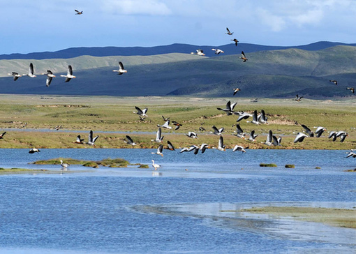 The Sanjiangyuan National Nature Reserve. [File photo] 