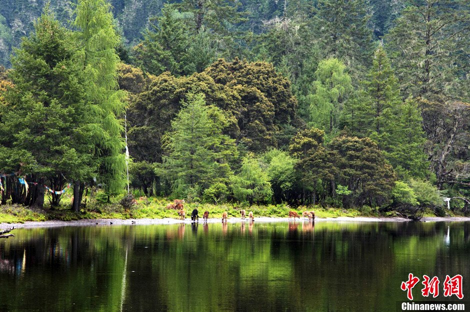 Photo shows the amazing scenery in Ganzi Tibetan Autonomous Prefecture in China's Sichuan Province.