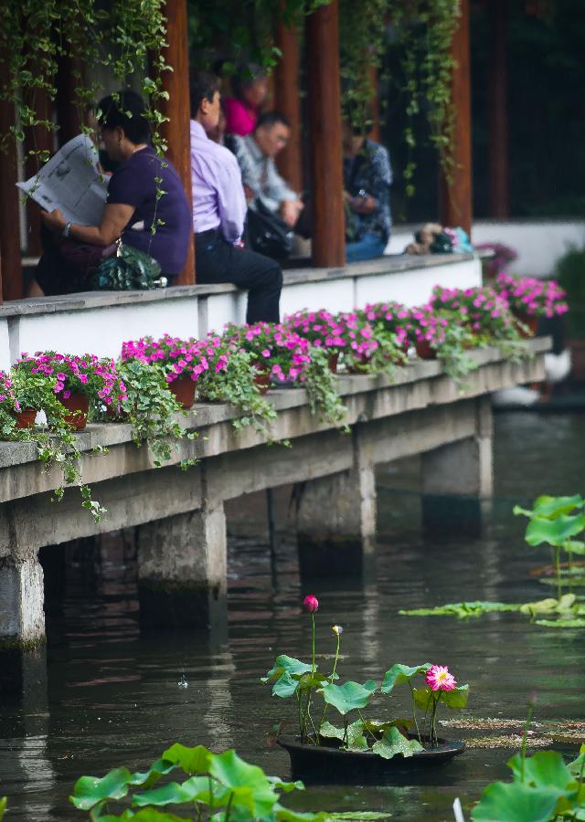 **CHINA-HANGZHOU-WEST LAKE-LOTUS SHOW (CN)